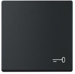 Busch-Jaeger Wippe mit Aufd.Schlüssel future linear schwarz matt 2520TR-885 – Bild 1