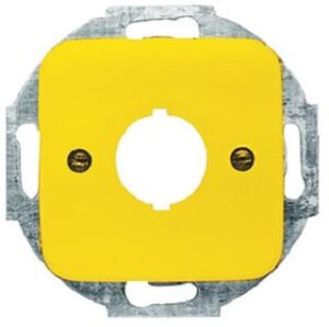 Busch-Jaeger C-Scheibe R-SI 2533-214-15 – Bild 1