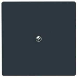 Busch-Jaeger Blindabdeckung AW44 Tragring anthrazit 2138-35 – Bild 1