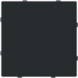 Busch-Jaeger Blindzentralscheibe mit Tragring 1742-45M – Bild 1