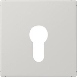 Jung Abdeckung Schlüsselschalter lichtgrau 10 AX 250V Profil-Halbzyl LS925LG – Bild 1