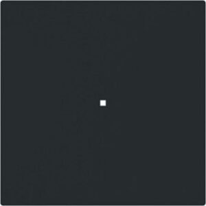 Busch-Jaeger Wippe, 1-fach neutral ohne Bedruckung 6230-10-45M – Bild 1