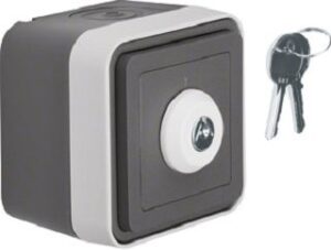 Berker Schlüsselschalter lichtgrau 32713505 – Bild 1