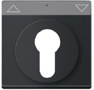 Busch-Jaeger Zentralscheibe für Schlüsselschalter schwarz 1755SL/PZ-885-101 – Bild 1