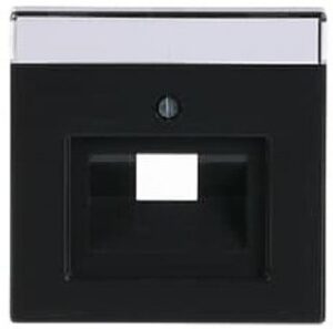 Busch-Jaeger Zentralscheibe UAE 1-fach solo anthrazit 1803-81 – Bild 1