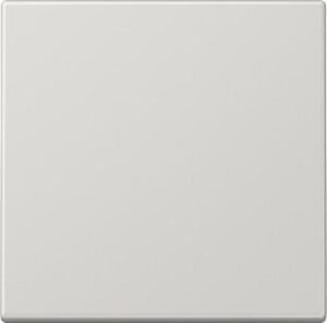 Jung Steuertaste Standard,  Serie LS, lichtgrau LS1700LG – Bild 1