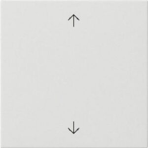 Gira Wippe 1-fach Pfeile System 55 Reinweiß 538903 – Bild 1