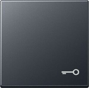 Jung Wippe mit Symbol Tür anthrazit A590BFTANM – Bild 1