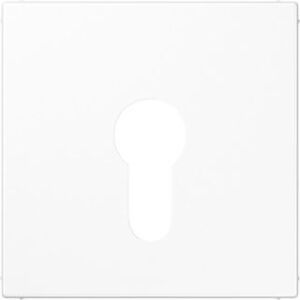 Jung Abdeckung Schlüsselschalter alpinweiss 10 AX 250V Profil-Halbzy LS925WW – Bild 1