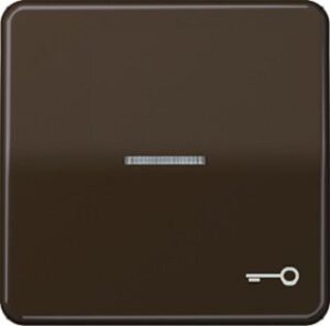Jung Wippe Symbol Tür für beleuchteten Taster braun CD590KO5TBR – Bild 1