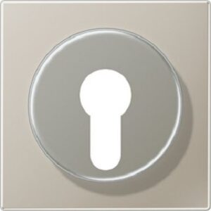 Jung Abdeckung für Schlüsselschalt. LS-Edelstahl ES2928 – Bild 1