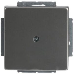 Busch-Jaeger Zentralscheibe Tragring edelstahl 1742-866 – Bild 1