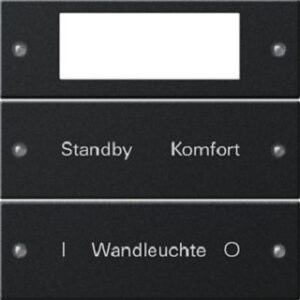 Gira Wippenset 2-fach Plus beschreibbar System 55 Schwarz matt lackiert 2212005 – Bild 1