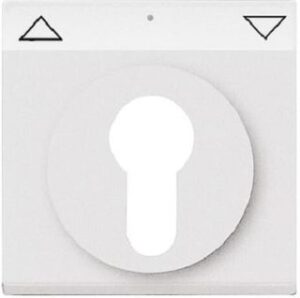 Busch-Jaeger Zentralscheibe future linear alusilber 1755SL/PZ-83-101 – Bild 1