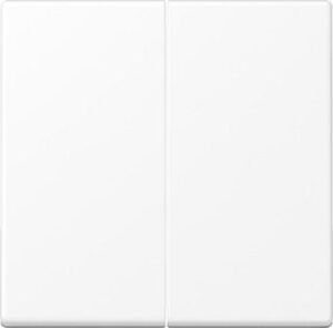 Jung Steuertaste 2fach Standard,  Serie A schneeweiß matt A1702BFWWM – Bild 1