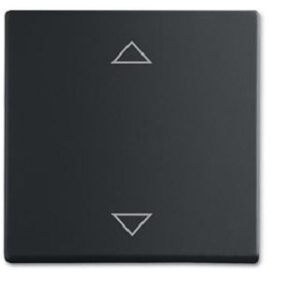 Busch-Jaeger Wippe für Jalousiet 1786JA/02-885 – Bild 1