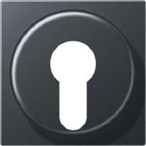 Jung Abdeckung für Schlüsselschalter anthrazit matt A528PLANM – Bild 1