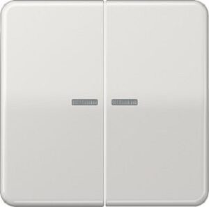 Jung EIB-Wippe 2-fach BA lichtgrau mit Symbolen CD595KO5LG – Bild 1