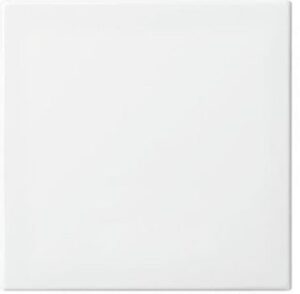 Busch-Jaeger Wippe anschraubbar Busch-balance SI alpinweiss 2546-914 – Bild 1