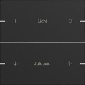 Gira Wippenset 2fach individuell für Tastsensor4 TS4 Schwarz matt lackiert 5032905 – Bild 1