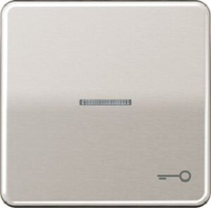 Jung Wippe Symbol Tür für beleuchteten Taster platin CD590KO5TPT – Bild 1