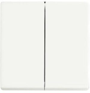 Busch-Jaeger Wippe 6736FOH-884 – Bild 1