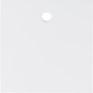 Berker Zentralstück polarweiß glänzend für Zugschalter/Taster 11468989 – Bild 1