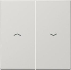 Jung Wippe für Taster BA 2-fach (LS990) mit Symbolen lichtgrau LS995PLG – Bild 1