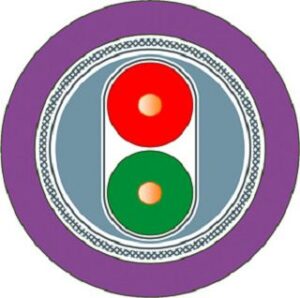 Siemens Busleitung 2-adrig Ri.100m 6XV1830-0ET10 – Bild 1