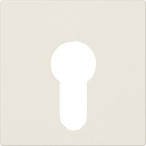 Jung Abdeckung für Schlüsselschalter flache Ausführung weiss A525PL – Bild 1