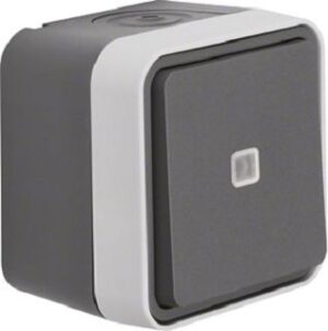 Berker Taster Wechsler lichtgrau 50763505 – Bild 1