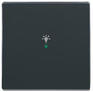 Busch-Jaeger Wippe 1-fach Licht für Busch free@home anthrazit 6231-10-81 – Bild 1