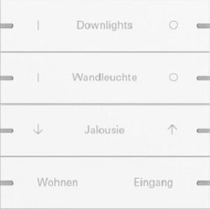Gira Wippenset 4fach individuell für Tastsensor4 TS4 Reinweiß matt lackiert 5034927 – Bild 1