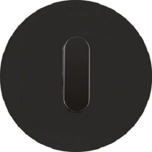 Berker Abdeckplatte mit Knebel R.Classic Glas schwarz 1001205500 – Bild 1