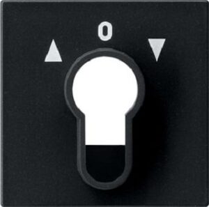 Gira Abdeckung Schlüsselschalter/-taster Syst em 55 Schwarz matt 0664005 – Bild 1