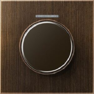 Jung Abdeckung mit Lichtleiter für KNX Serie LS Messing antik ME1940KO5AT – Bild 1