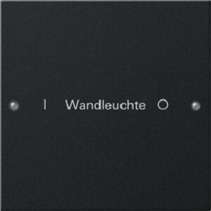 Gira Wippenset 1-fach beschreibbar System 55 Schwarz matt lackiert 2201005 – Bild 1