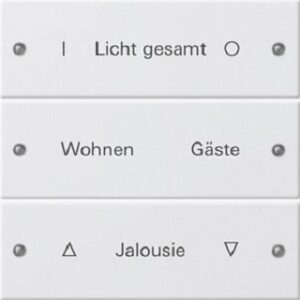 Gira Wippenset 3-fach beschriftbar System 55 reinweiss matt 220327 – Bild 1